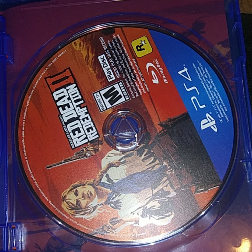 Red Dead redemption 2 - Picture 5 of 5
